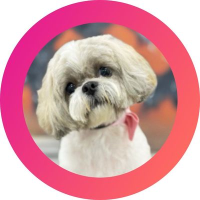 Avatar for The Taylored Canine Mobile Grooming