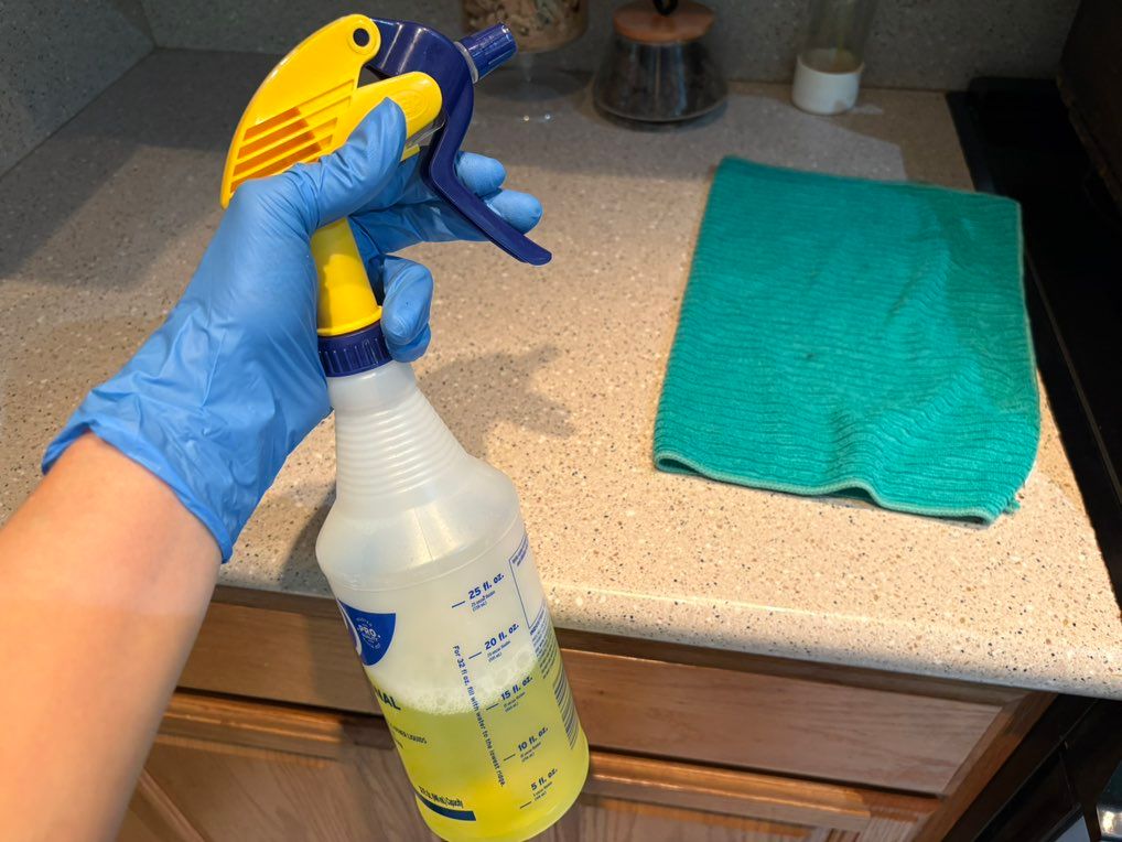 Lysol disinfectant for counters 