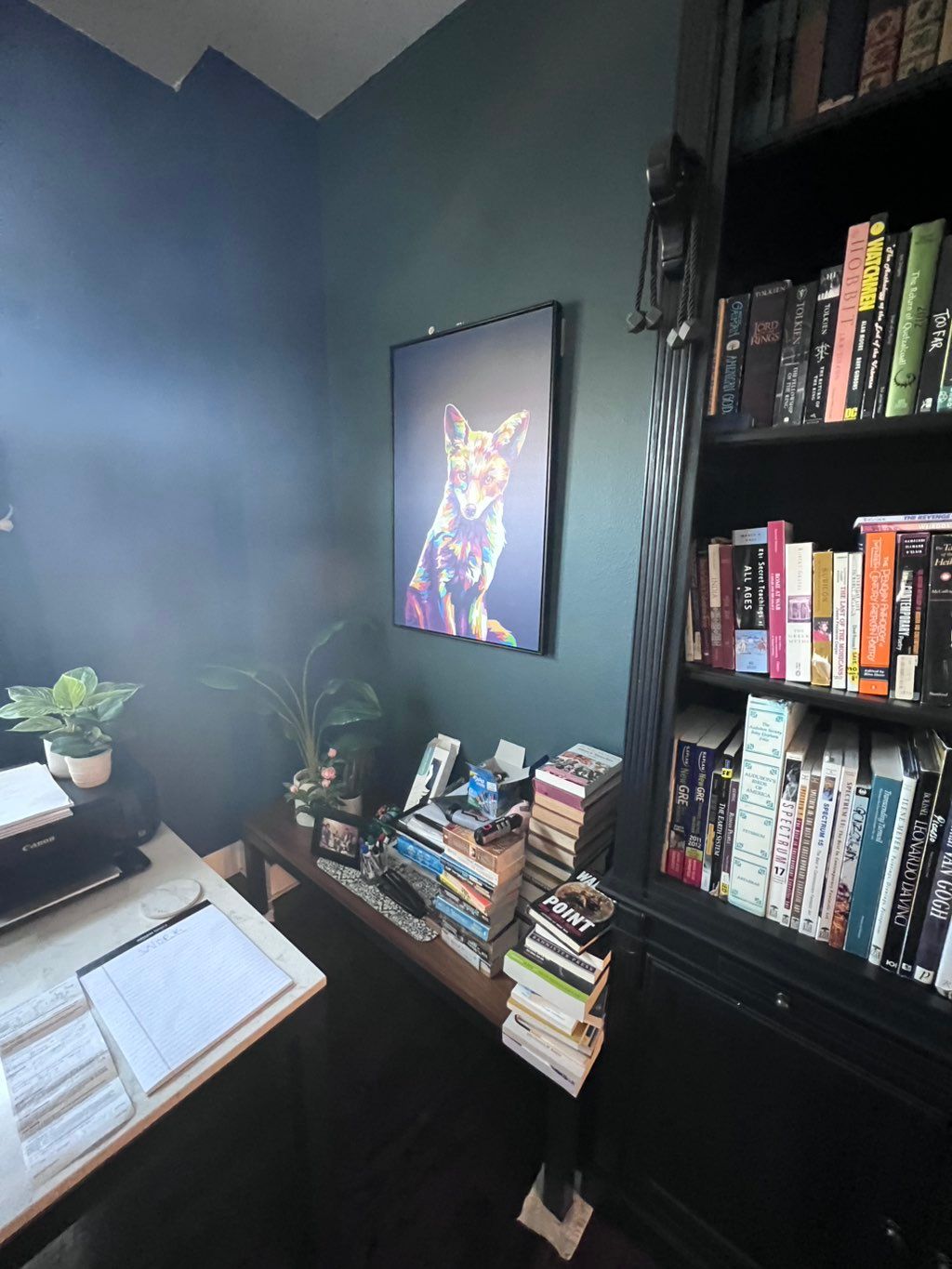 Projects and media