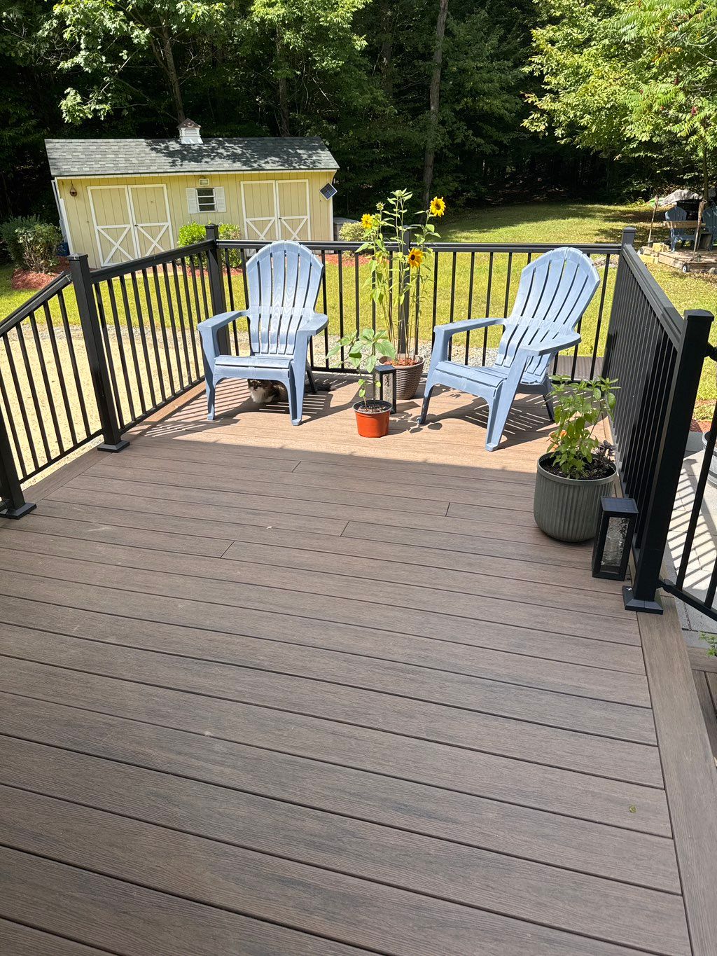 Customer photos