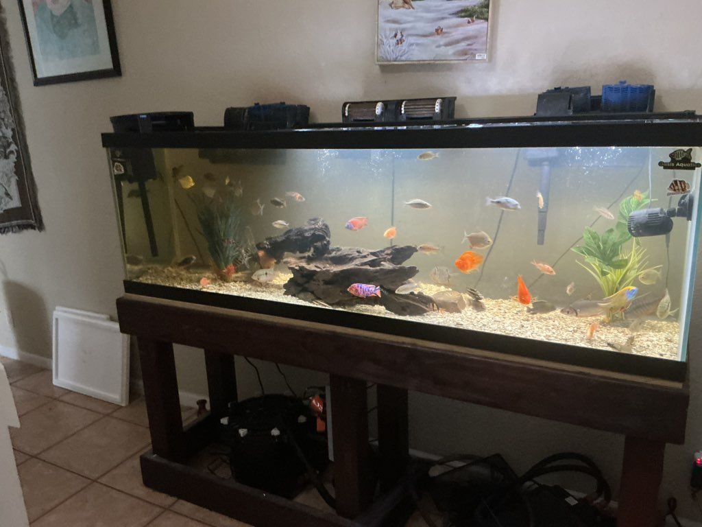 Customer photos