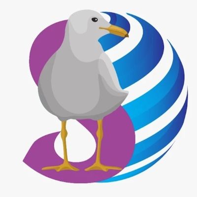 Avatar for Seagulls Media International