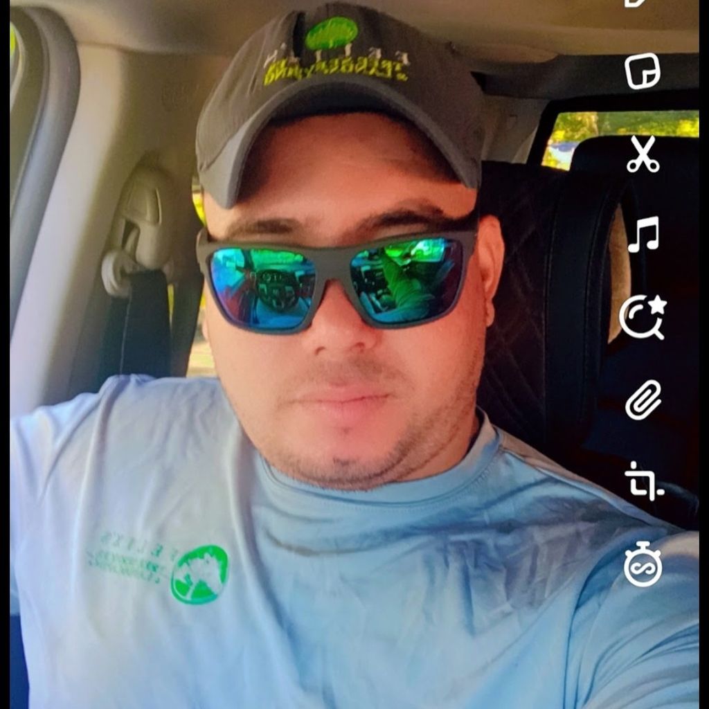 Estrada's Tree Services