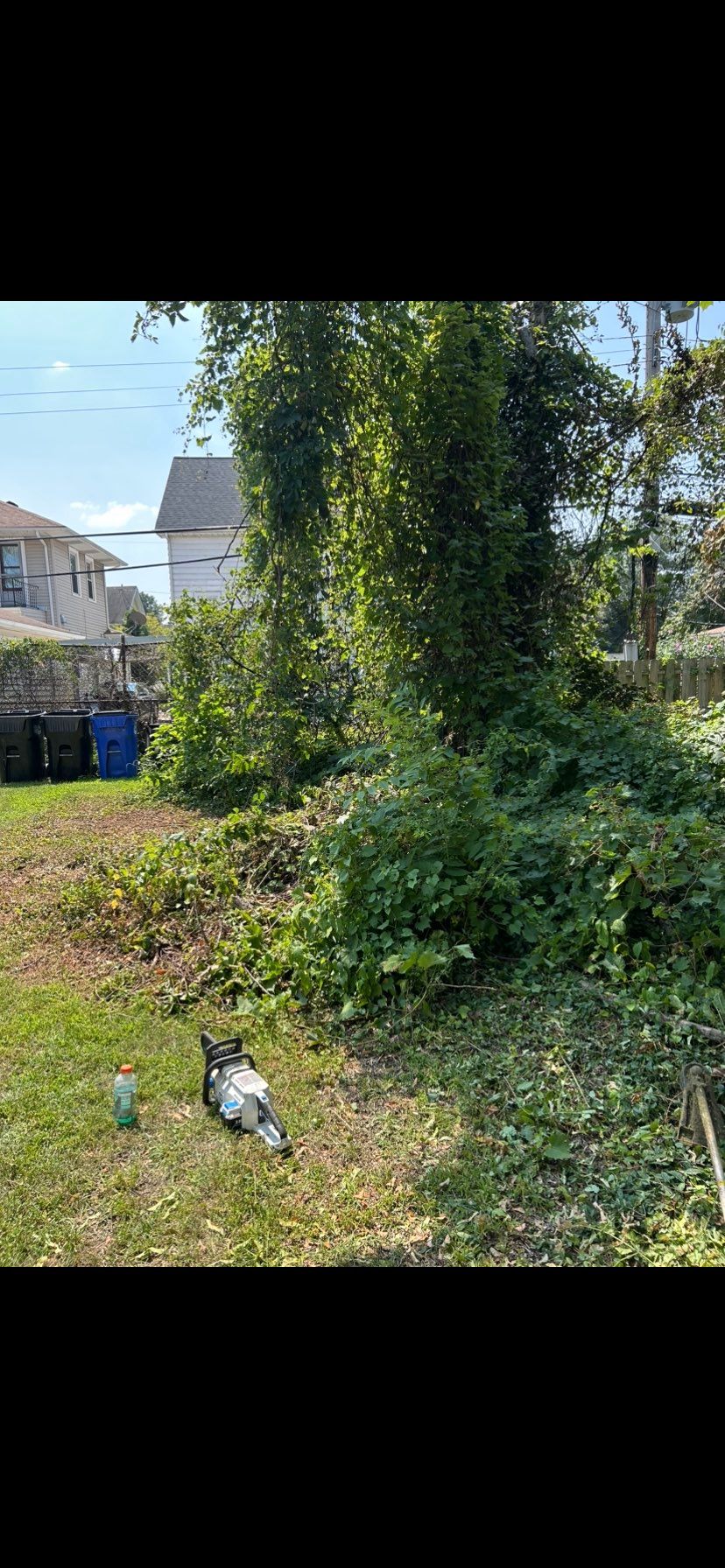 Before trimming 