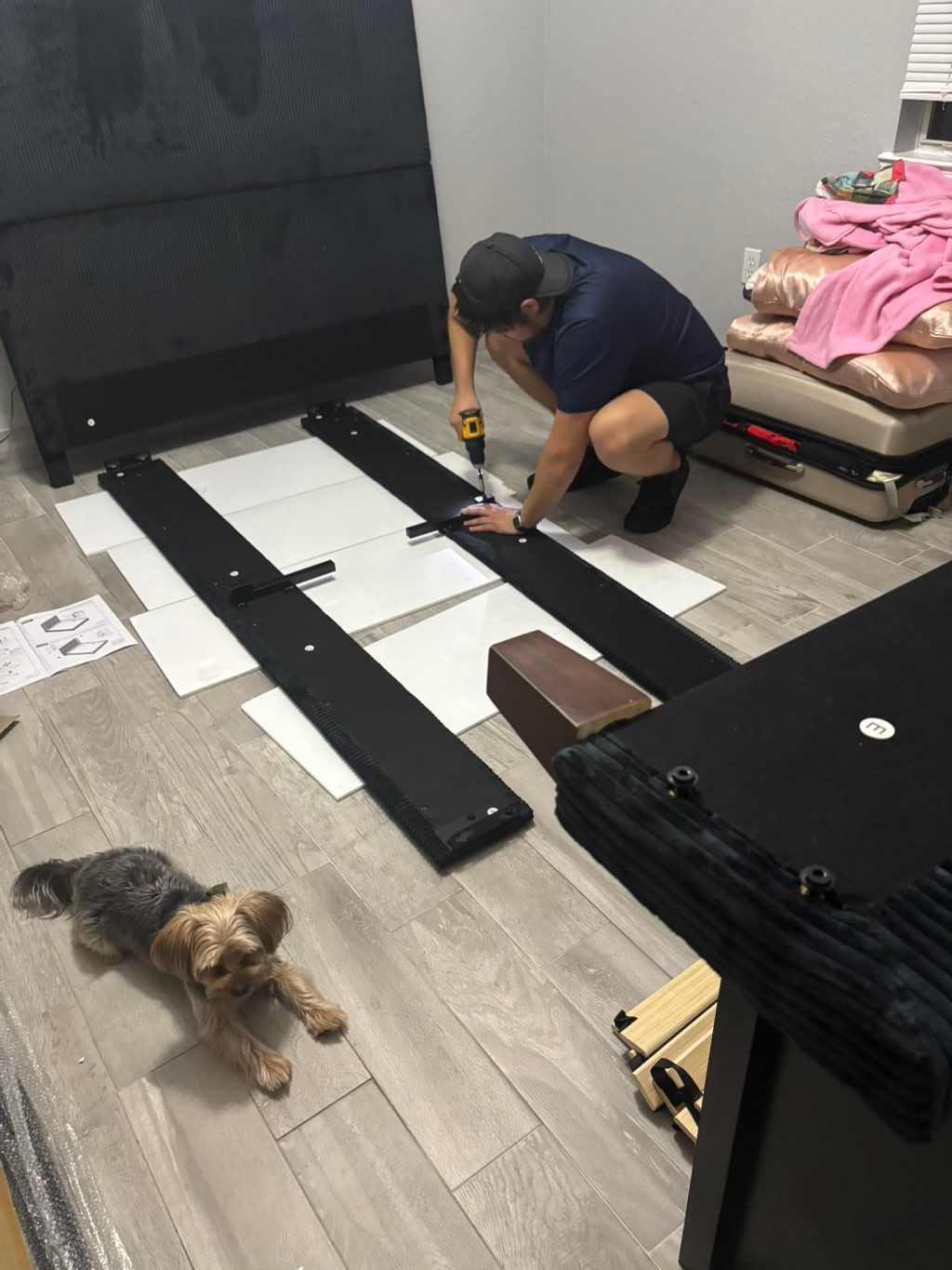 Projects and media