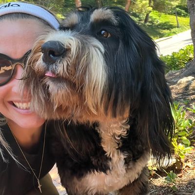 Avatar for Brooke’s Prancing Paws
