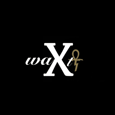 Avatar for Walt X Productions