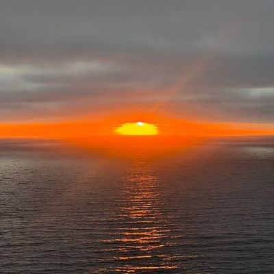 Avatar for San Diego Moving
