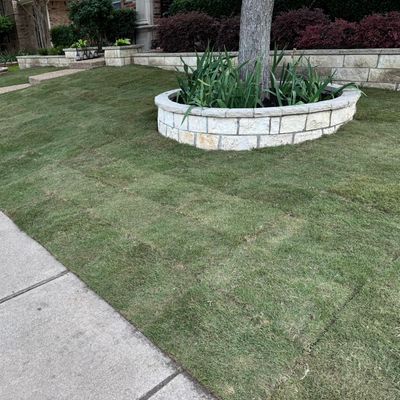 Avatar for BARCENAS LANDSCAPING