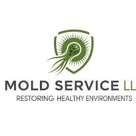 Avatar for Mold services llc