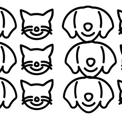 Avatar for Little Angels Pet Service