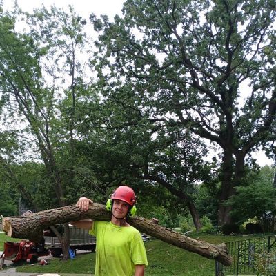Avatar for Kaufman tree service & snow removal