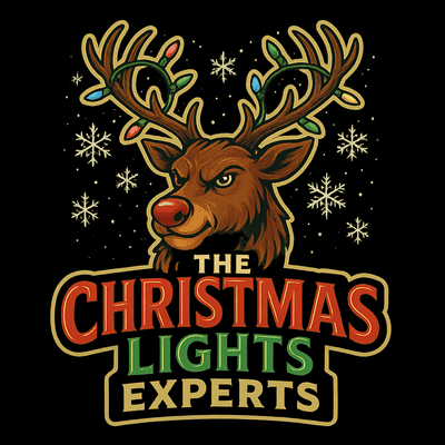 Avatar for The Christmas Lights Experts