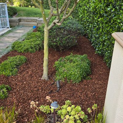Avatar for Gonzalezquetzaltenango landscaping
