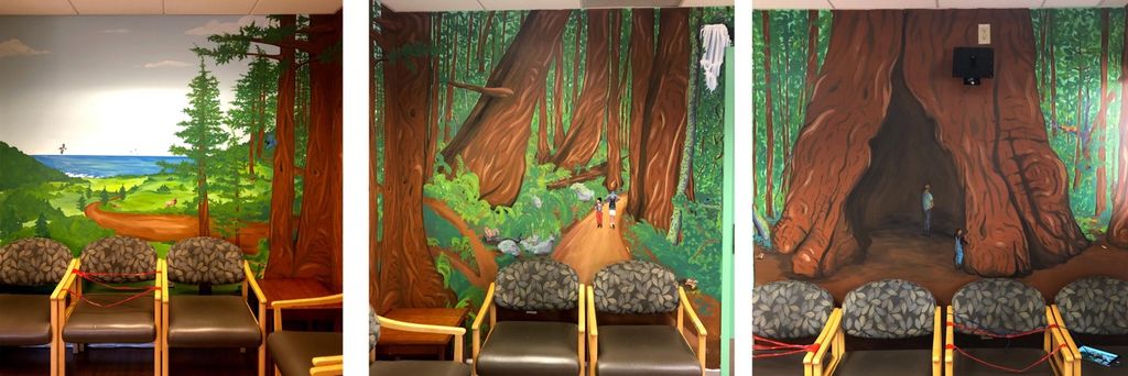 Pediatric Clinic Waiting Room Murals - Redwood For