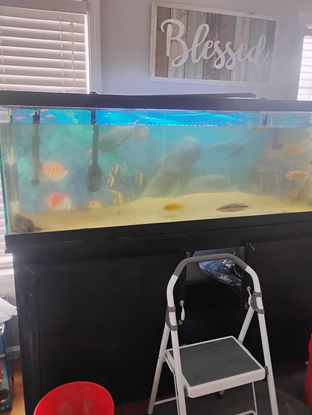 120 gallon before....