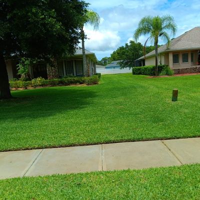 Avatar for M&N Green lawn care services llc