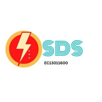 Avatar for SDS Electrical & Handyman Services LLC