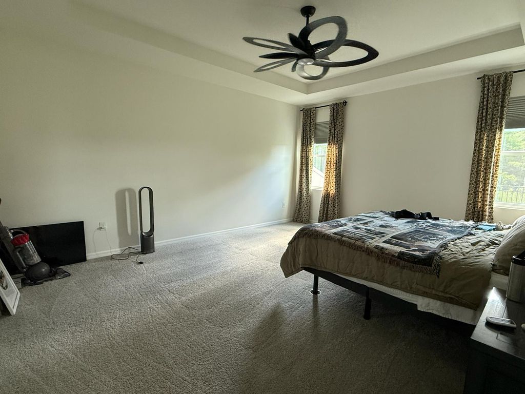 Say goodbye to dirt and dust with our carpet vacuu