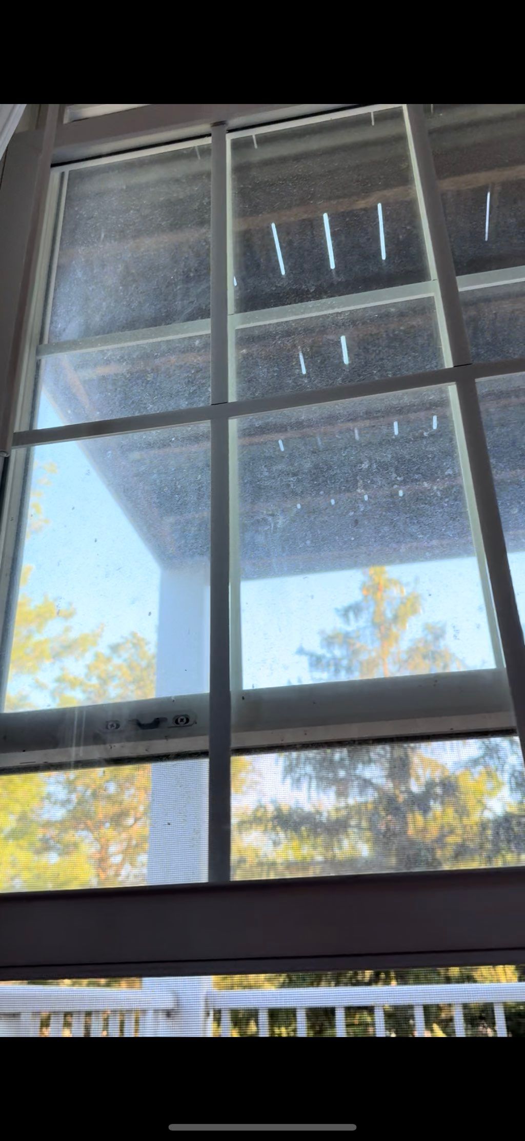 Before- window cleaning 