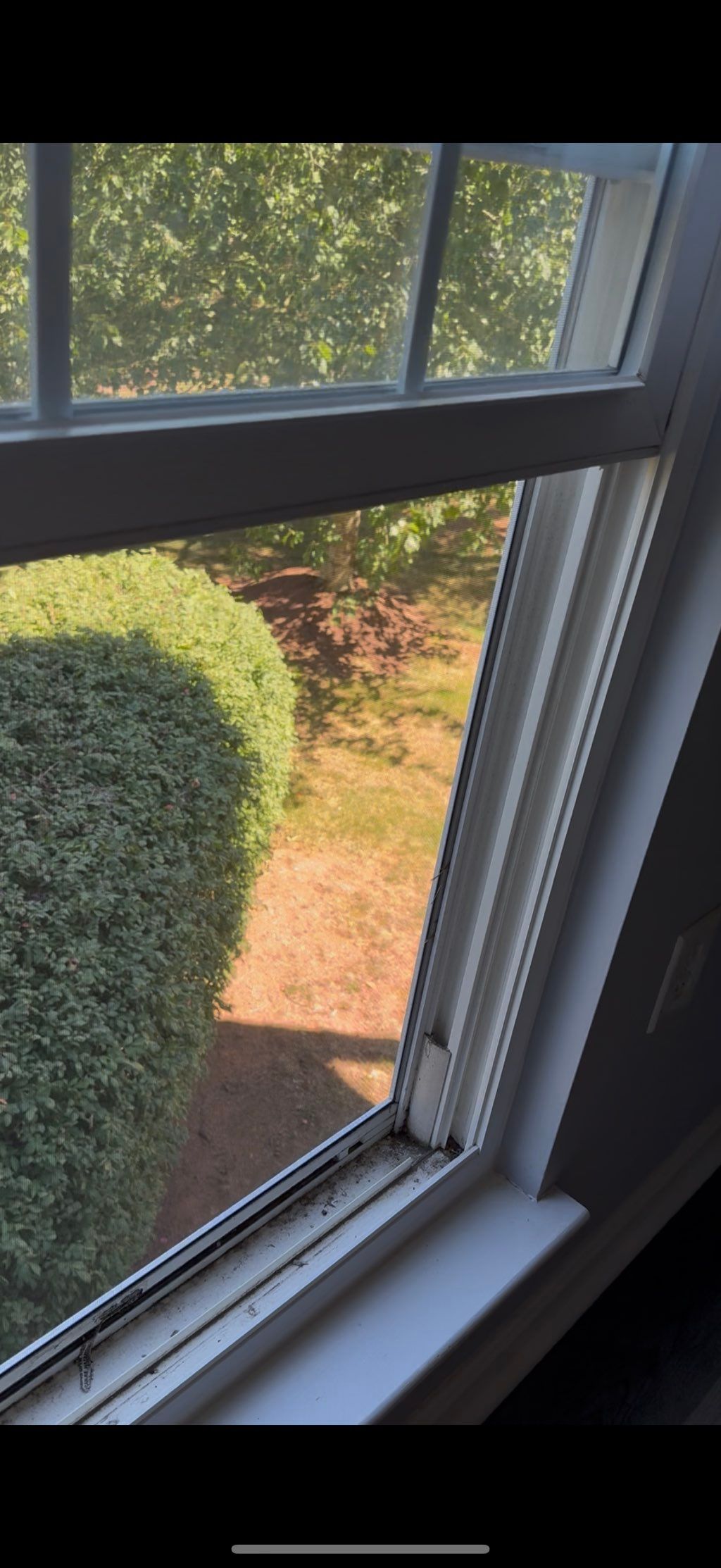 Before- window cleaning 