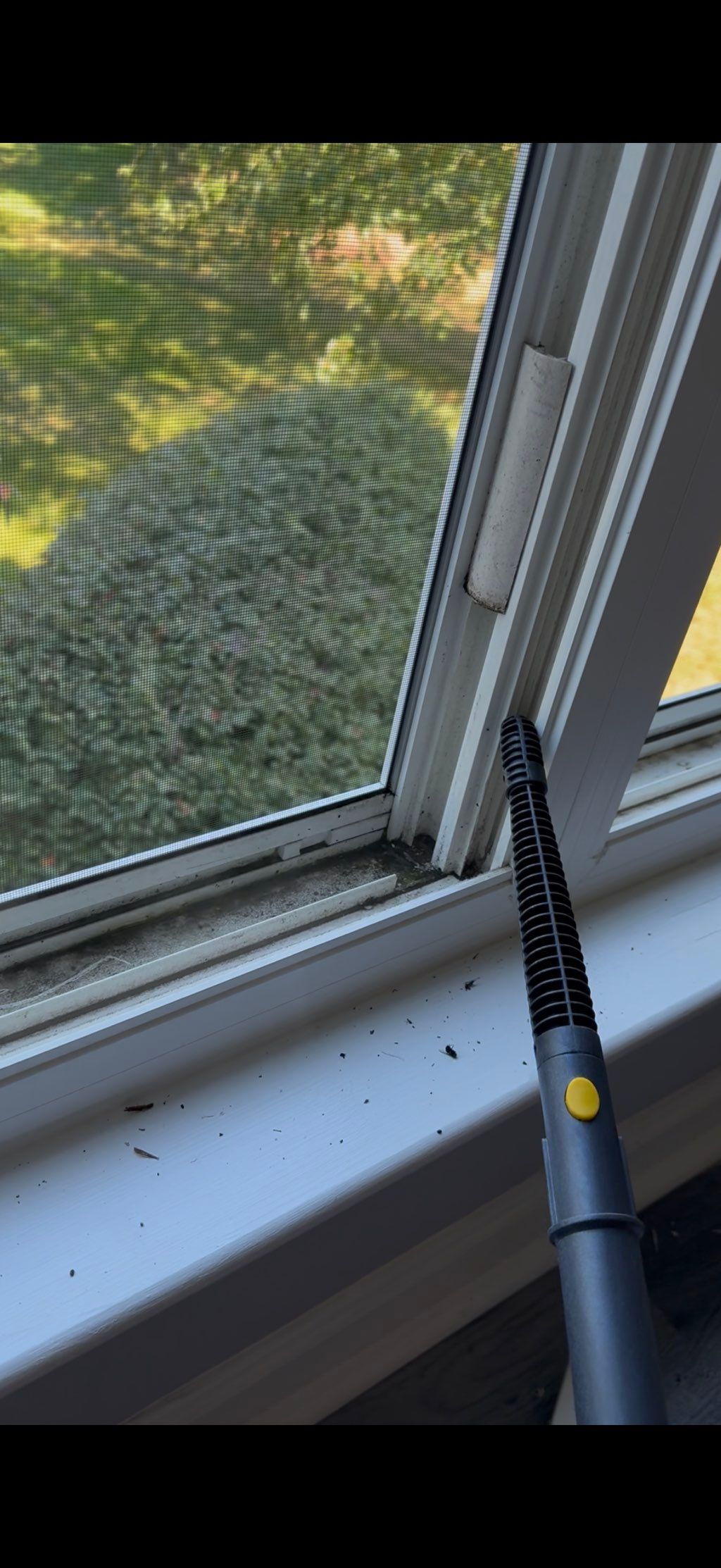 Before- window cleaning 