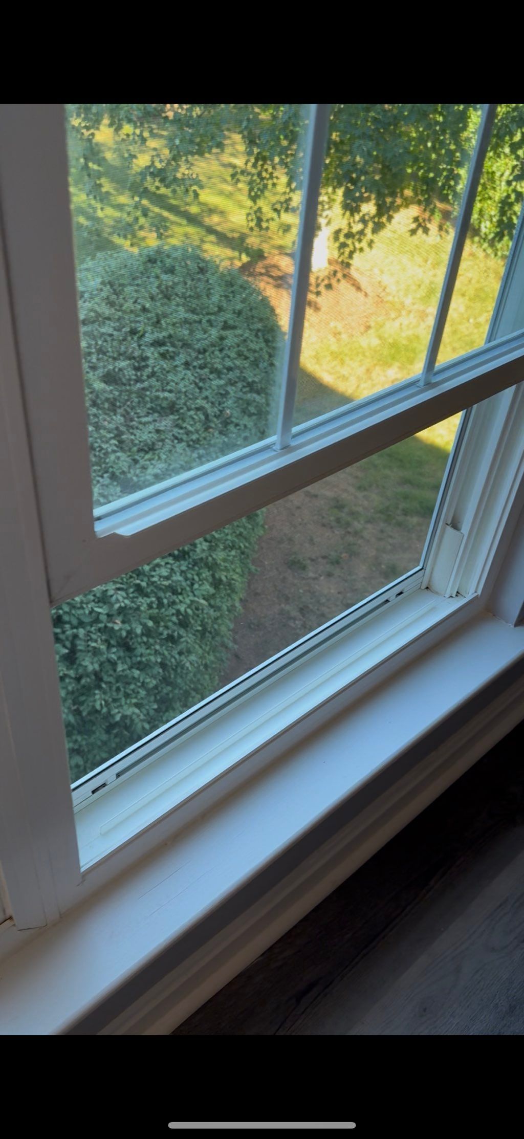 After- window cleaning 