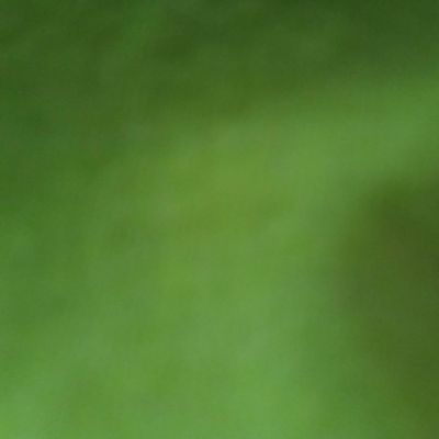 Avatar for VNHpestcontrol