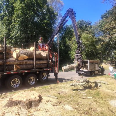 Avatar for López landscaping and tree services And mansory