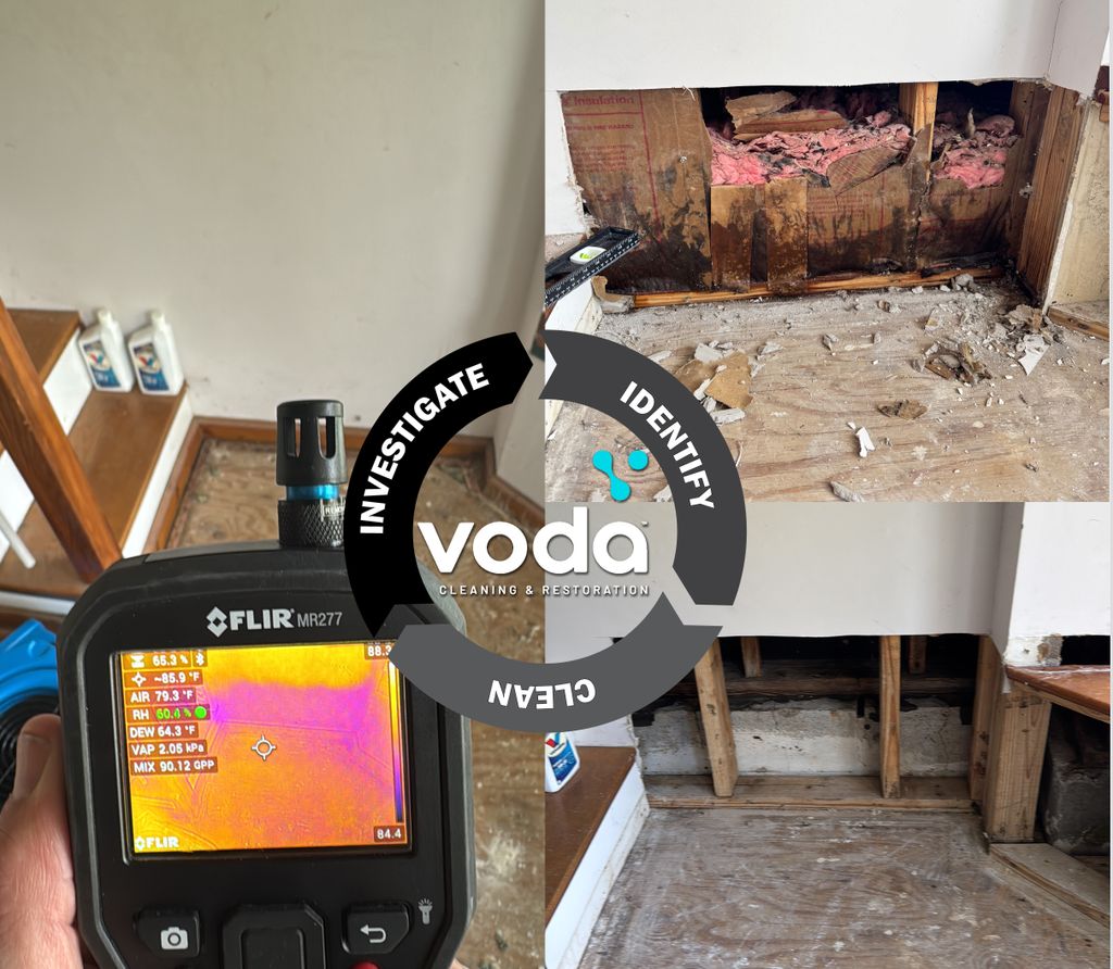 We are experts in mold remediation.