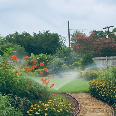 Avatar for Simply Sprinkler of Texas