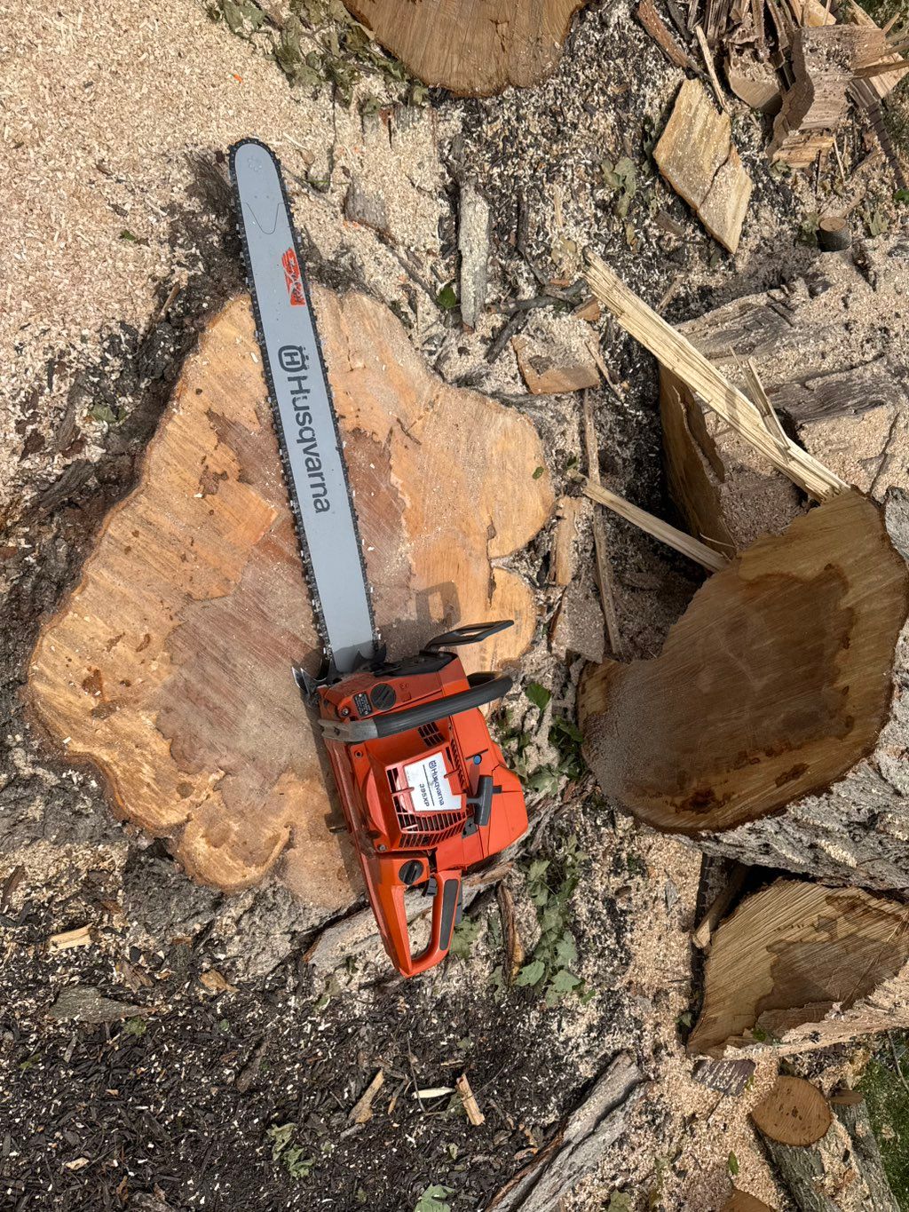 Tree Removal