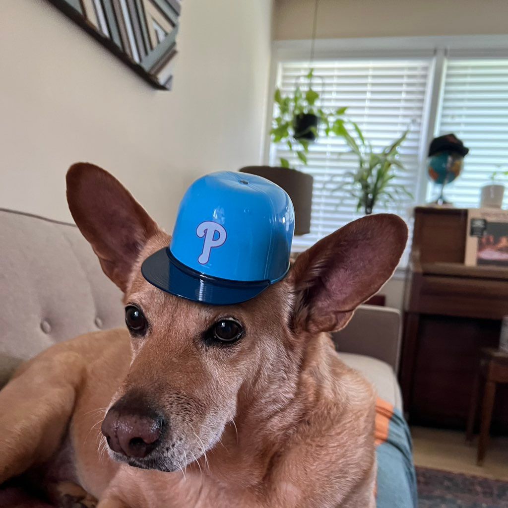 pro avatar