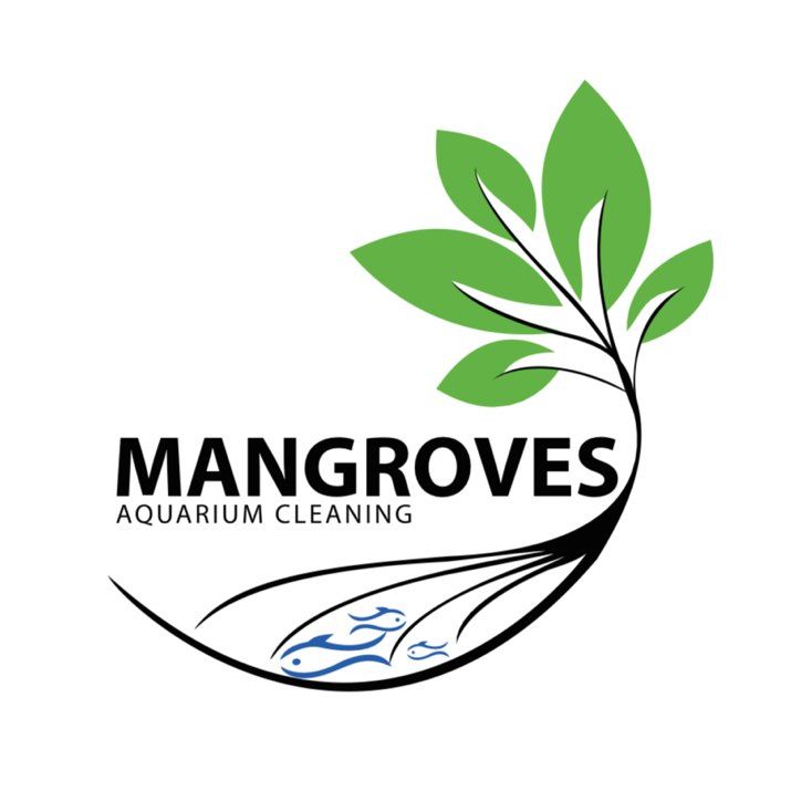 Mangroves Aquarium Cleaning