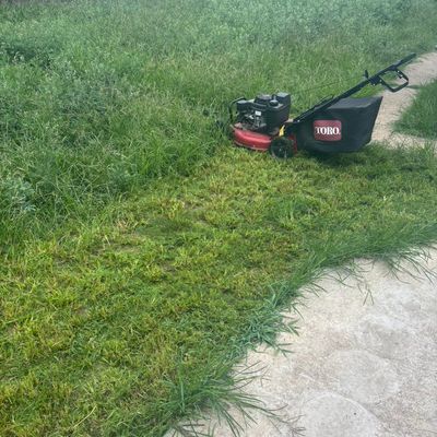Avatar for Ozzy’s lawn mowing
