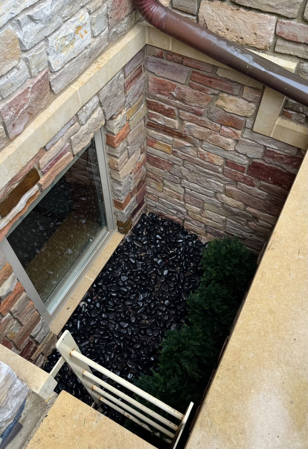 Window Well Cleaning 