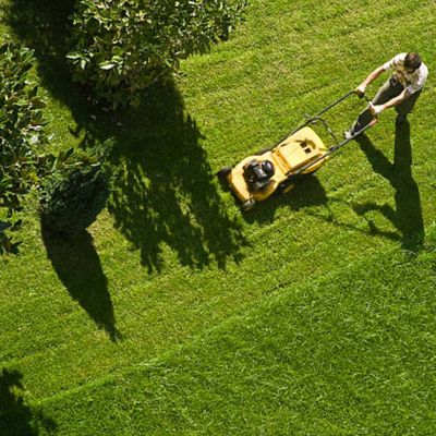 Avatar for JLP Exterior Services