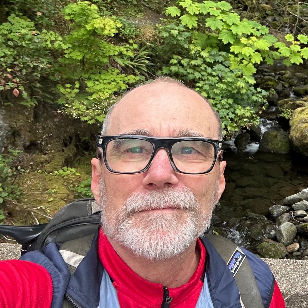 pro avatar
