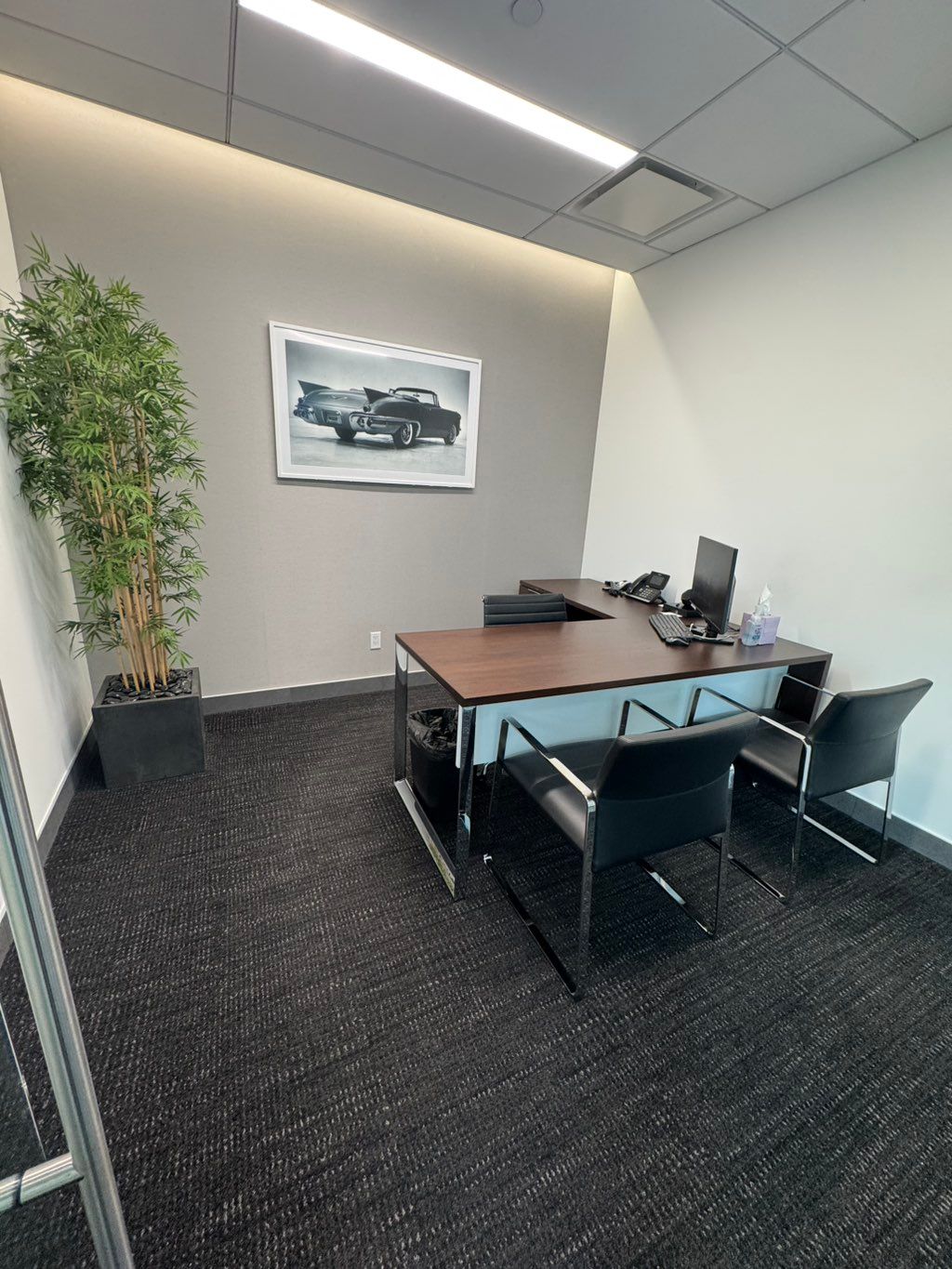 After Sanitation & Cleaning 