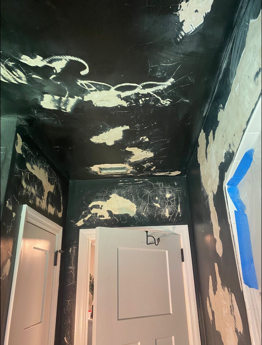 Interior Paint Before