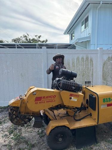 WOLF TREE SERVICES LLC