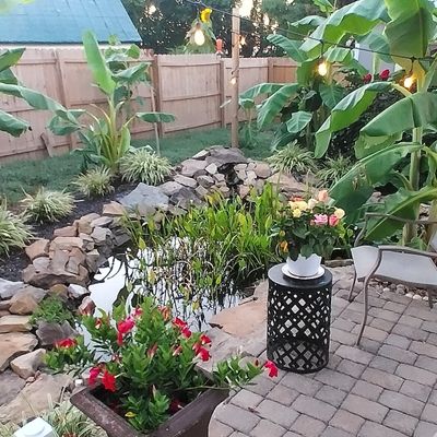 Avatar for inside & out home repair