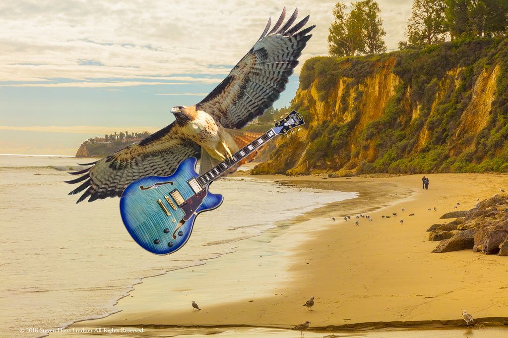 Malibu Guitar Festival Ad