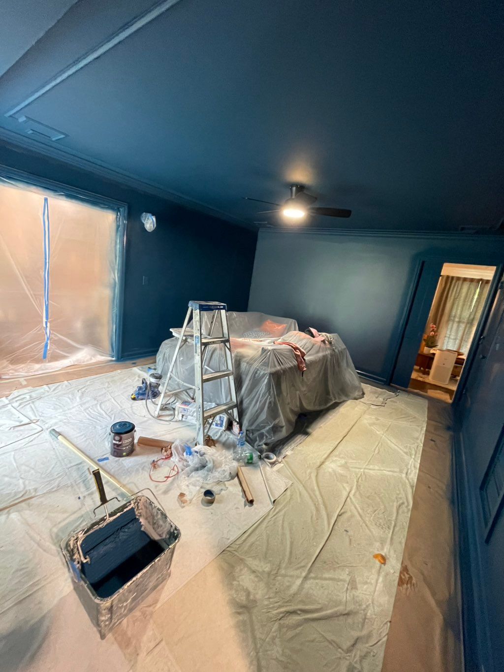 Professional painting 