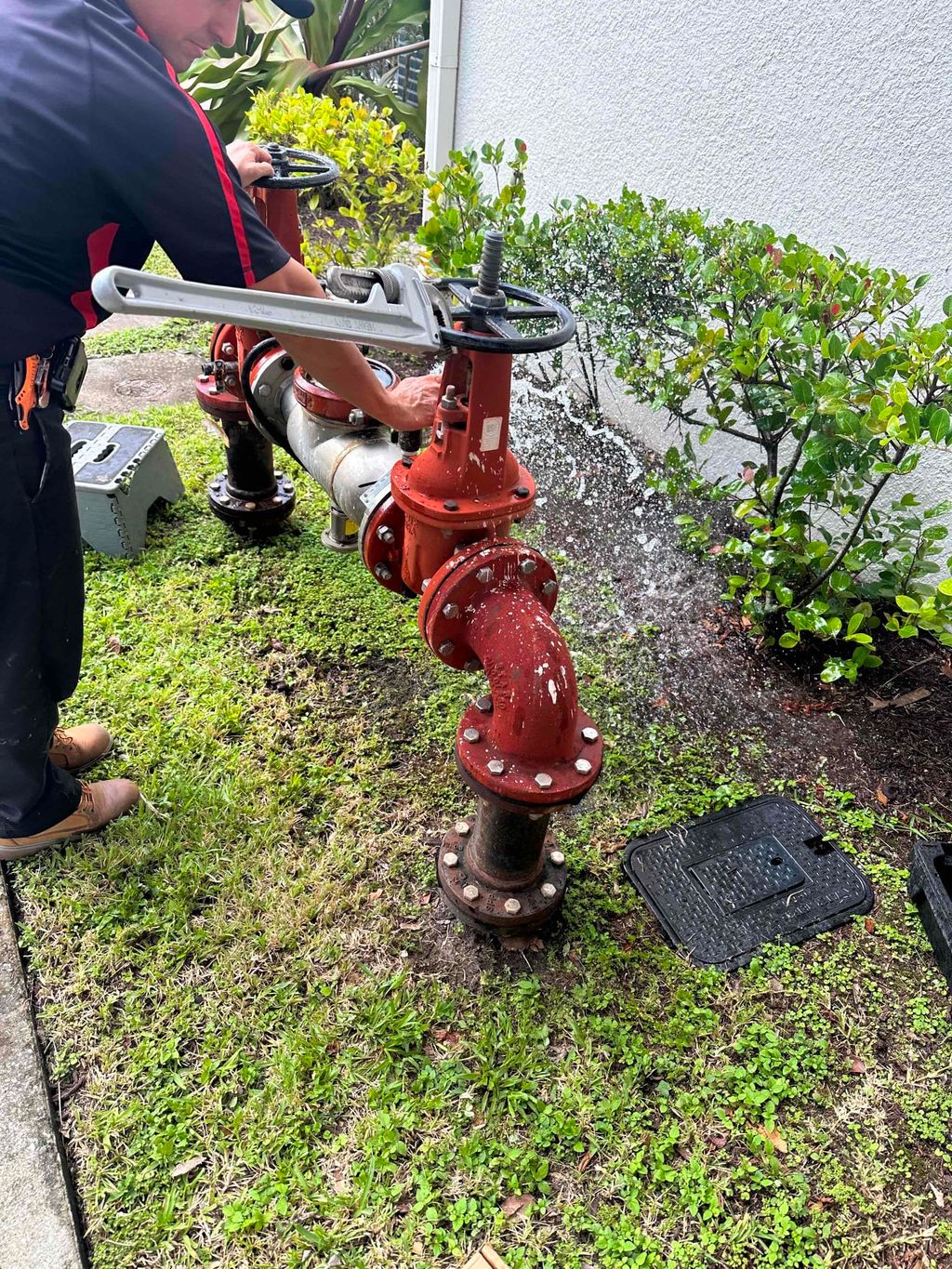 Backflow testing