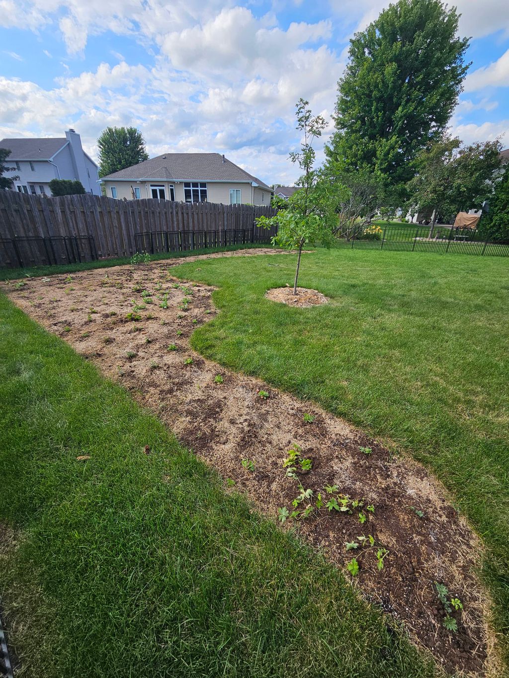 Residential pollinator installment year 1
