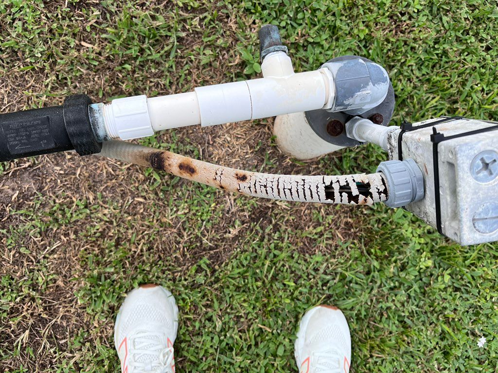 Customer photos