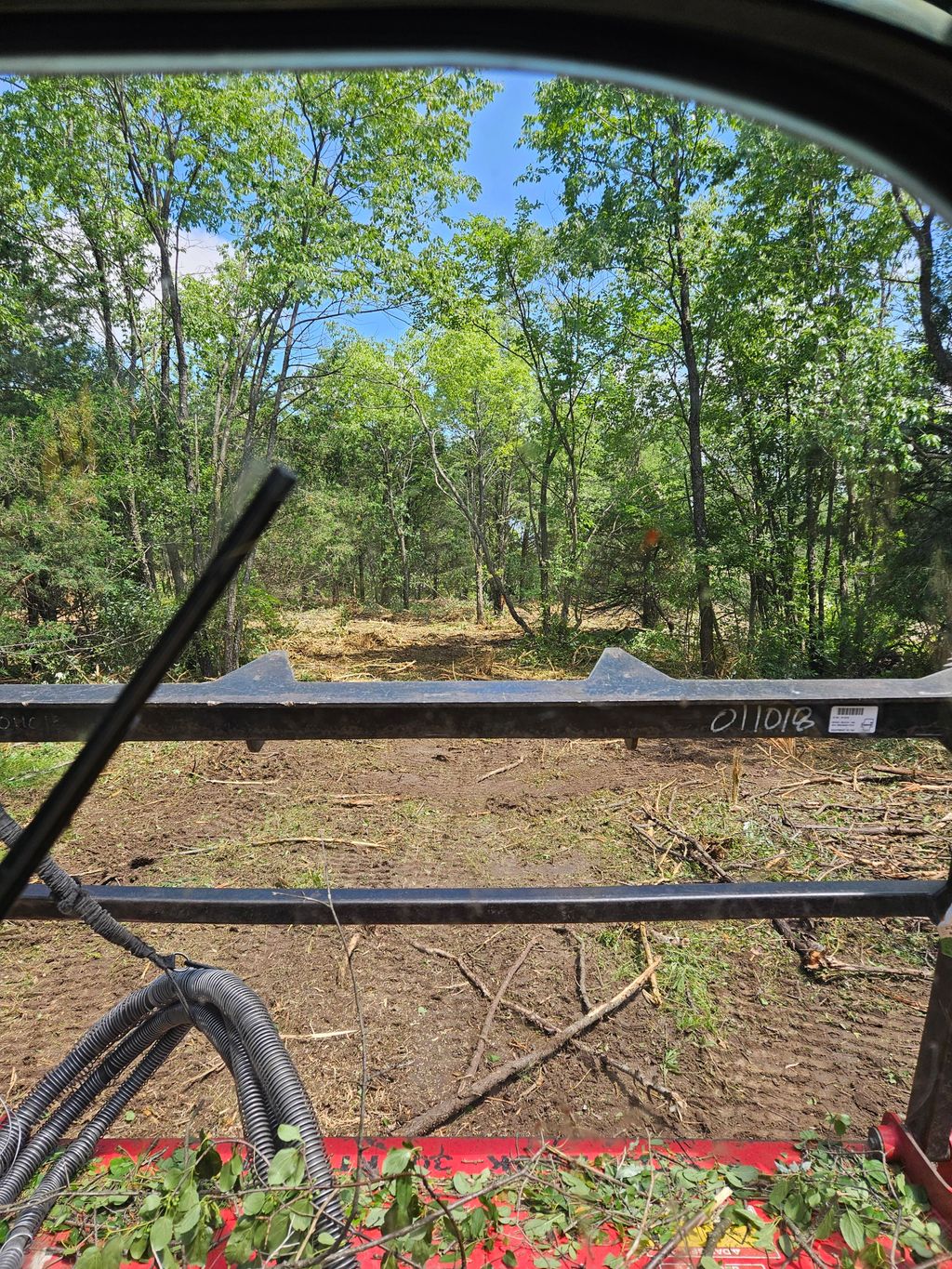 Project site after invasive shrub removal