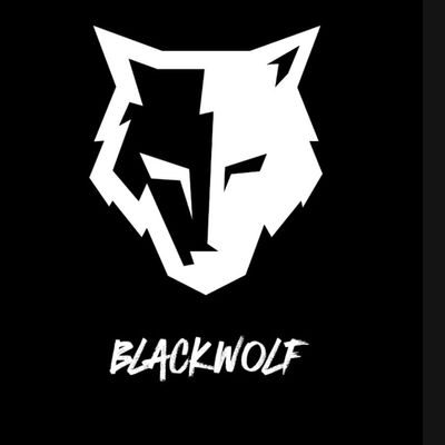 Avatar for Wolf Technologies Inc