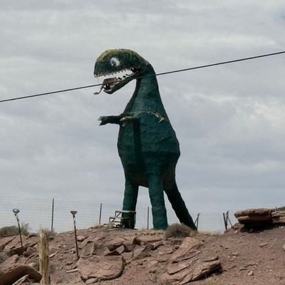 Avatar for Rays Restoration